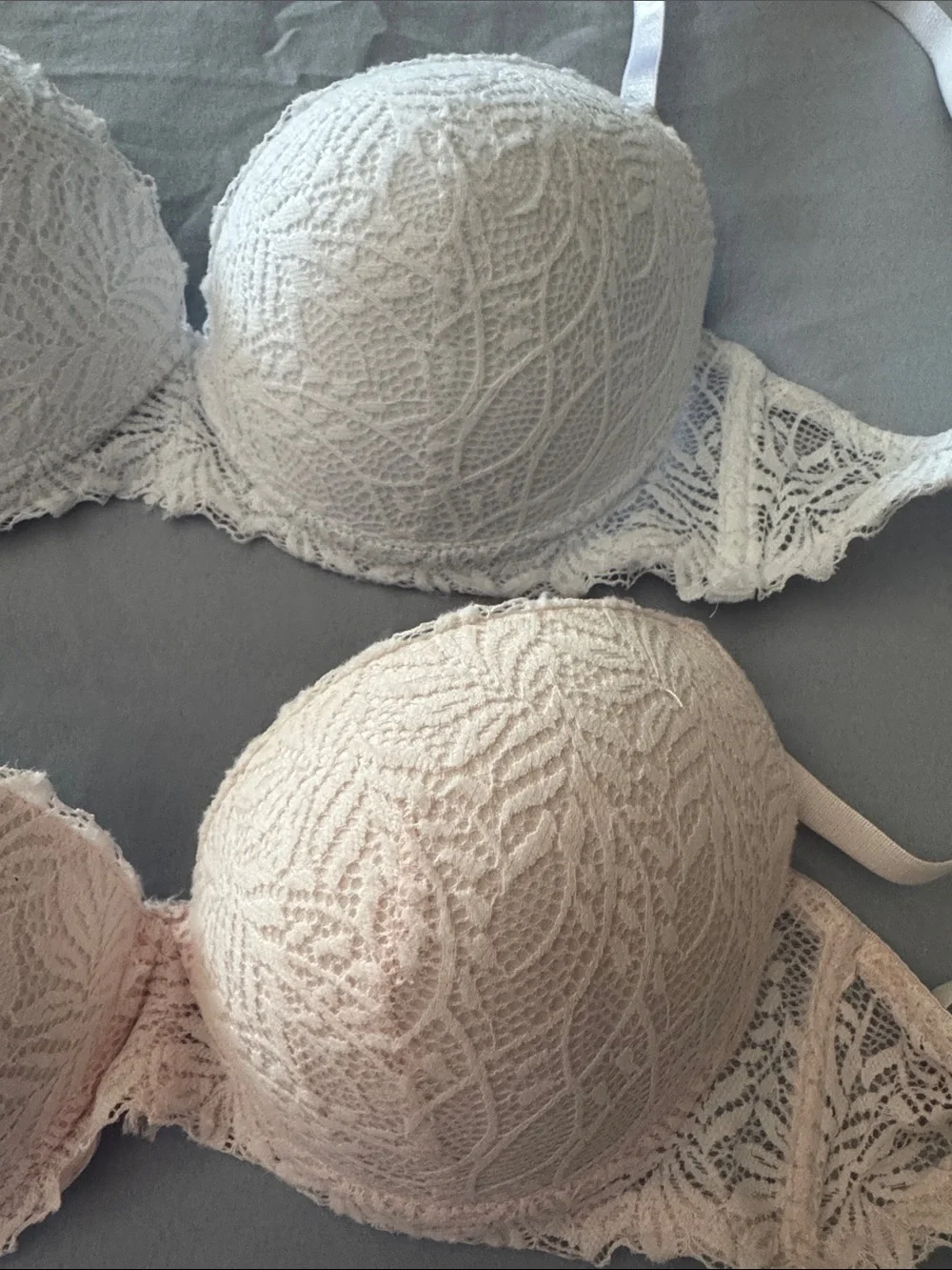 Rene Rofe | Wild Dream Lace Push-Up Bra - Bundle Size 36B NWOT - Picture 2 of 7